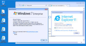 Internet explorer где хранится история windows 7